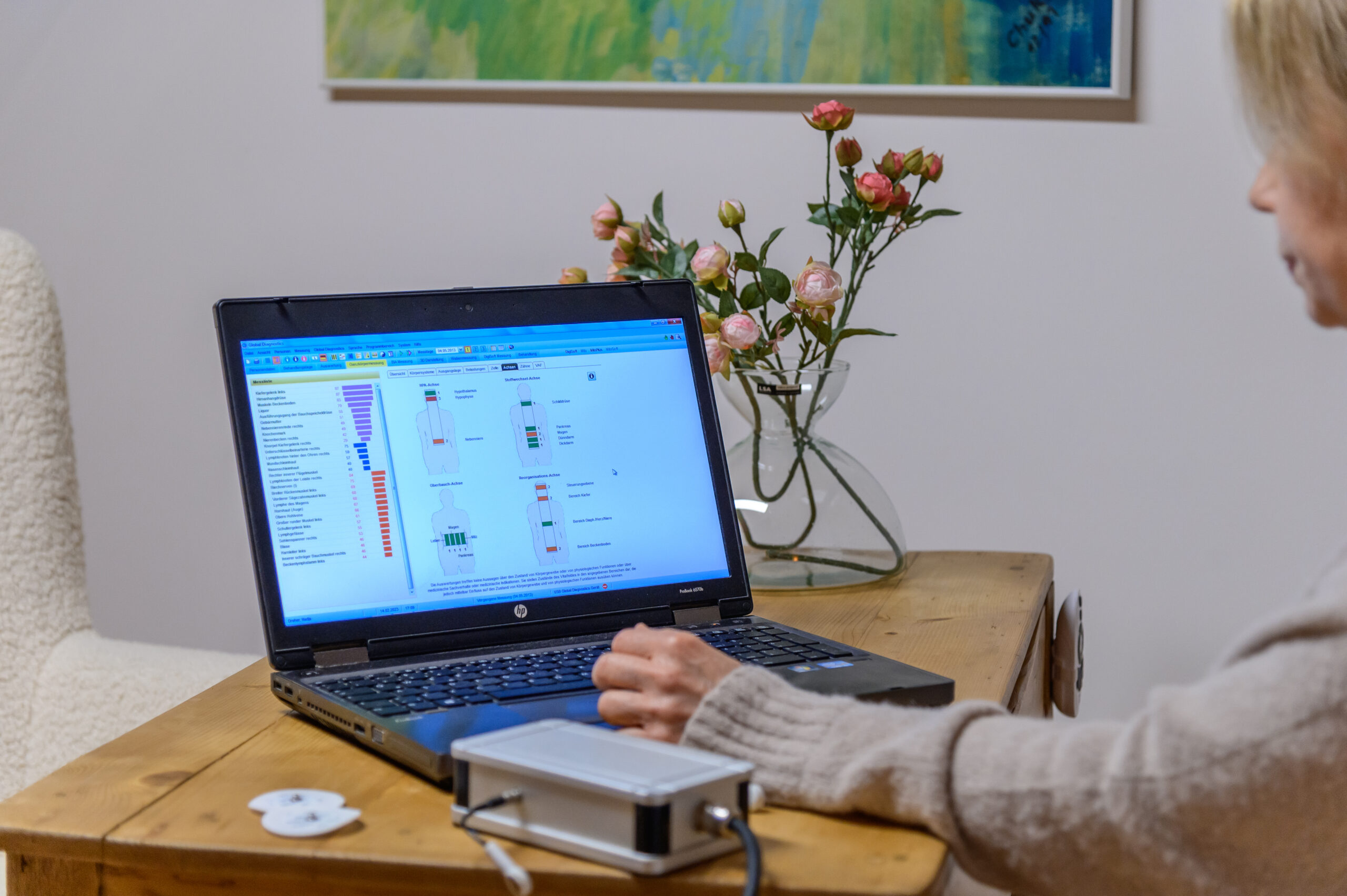Global Diagnostics in der Naturheilpraxis Evelyn Steppat
